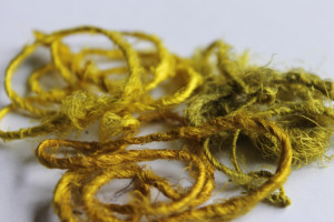 Barberry dyed fibres