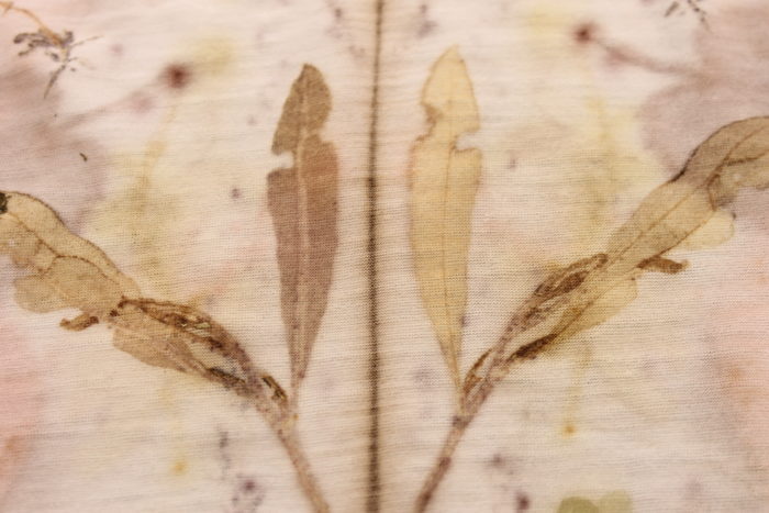 eco print native plants by Birgit Moffatt
