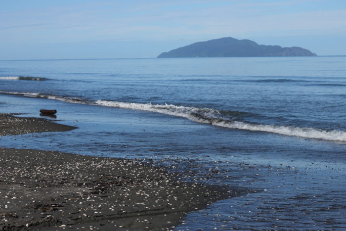 Otaki Beach Walk