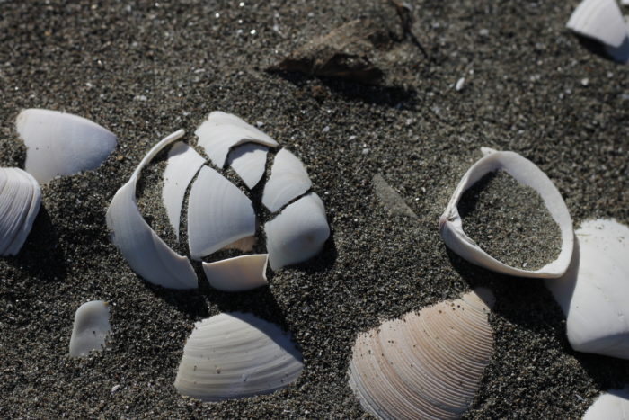 Otaki Beach Walk