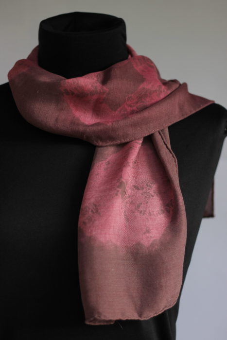 plant dyeing Birgit Moffatt