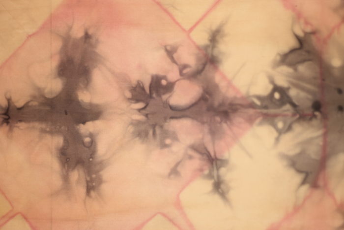 plant dyeing Birgit Moffatt